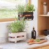 Eva Solo KITCHEN Organizer - Doniczka do Ziół z Systemem Nawadniania / Piaskowa